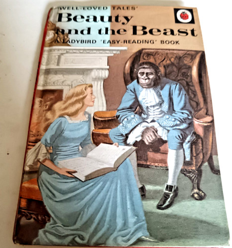 Vintage ladybird book - ladybird, beauty