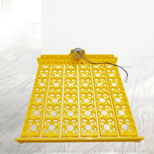 Eggs incubator automatic - incubator,