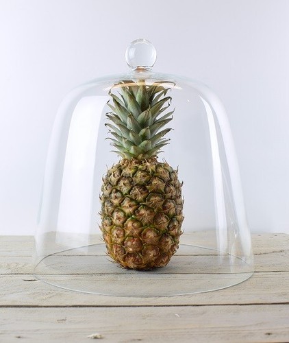 Handmade clear circular - handmade,