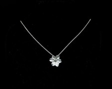 Kranz & Ziegler *STORY*