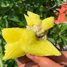 174G Beautiful Minerals ** LARGE NATIVE SULPHUR OnMATRIX Sicily- FREE