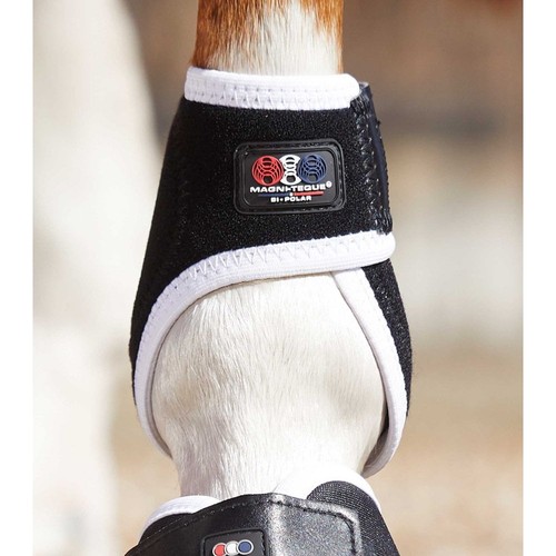 Premier equine magni teque - premier,