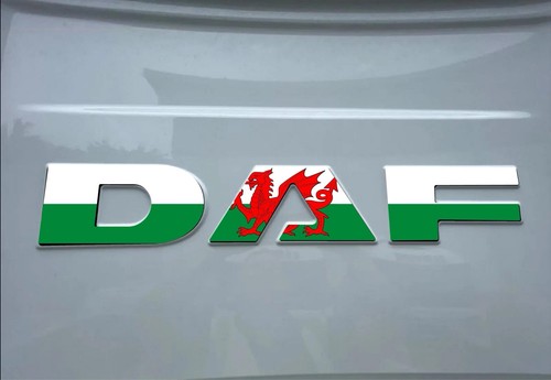 Daf welsh flag rear - xg,