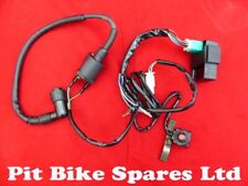 PIT BIKE COMPLETE WIRING LOOM FOR KICK START PIT BIKE ENGINE 110CC 125CC 140CC