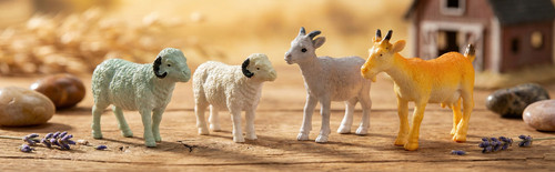 Plastic animal sheep - plastic,