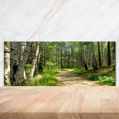 Kitchen glass splashback - kitchen,