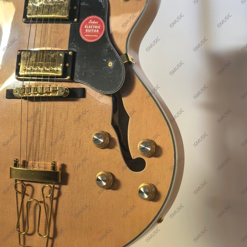 Lpp semi hollow body - lpp,