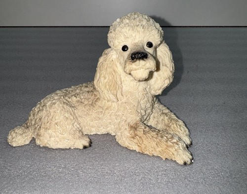 Castagna white poodle resting - poodle,