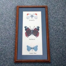 Vintage Framed Butterflies