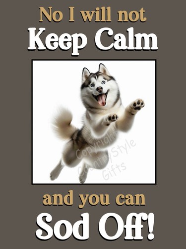 Siberian husky malamute pet - siberian,