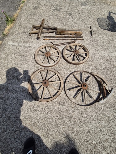 Antique dog cart - dog,