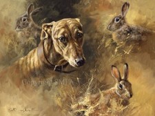 Mick Cawston 'Lurcher Days'  Lurcher Open Edition Print