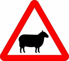 Sheep Road safety sign