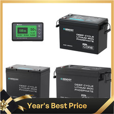 Renogy 100/200/300Ah 12V LiFePO4 Lithium Leisure Battery or Battery Monitor