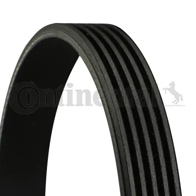 Ribbed belt fits renault - v-ribbed, fits: