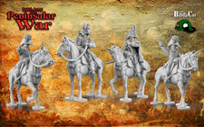 28mm Napoleonic Peninsular -