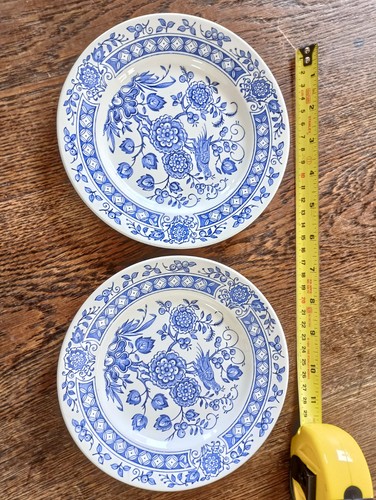 Broadstone nankin ironstone - nankin,
