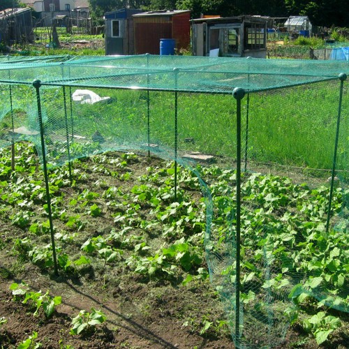 25m high fruit veg cage - 1.25m,