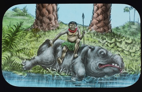 Pygmy hunting hippo - hunting, a