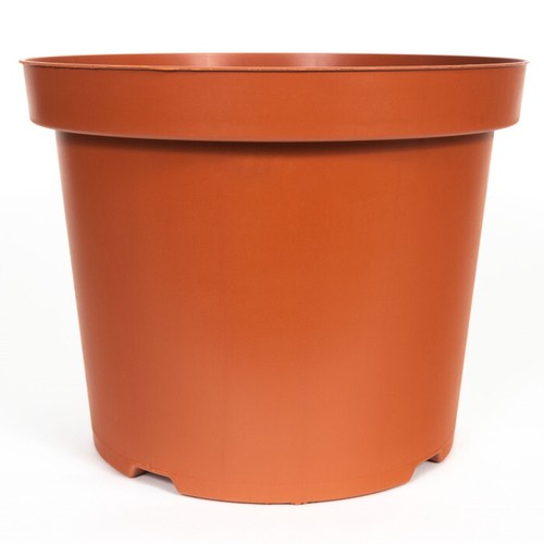 Plastic plant pot flower - flower, pots