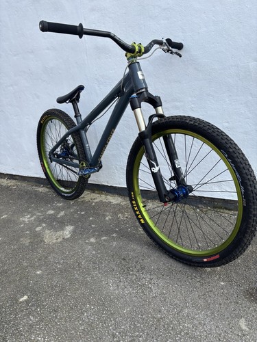 Santa cruz jackal - santa,