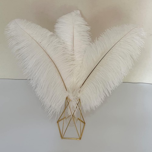 10pcs large white - large, ostrich