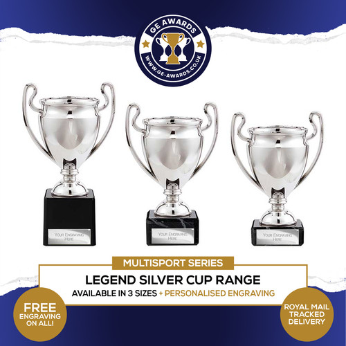 Multisport trophy silver - multisport,
