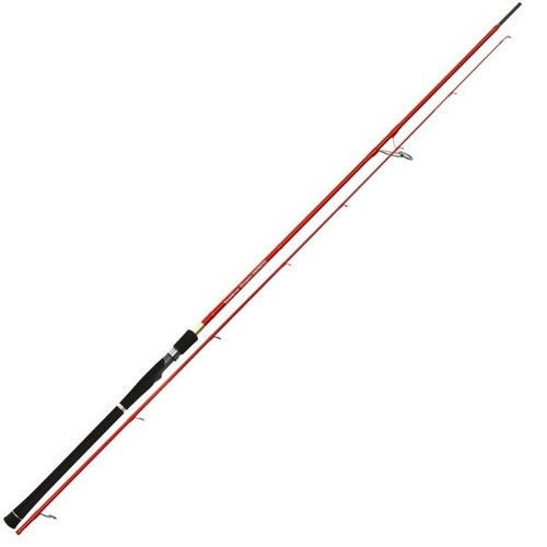 Tenryu dragon express 6 - express, 9'