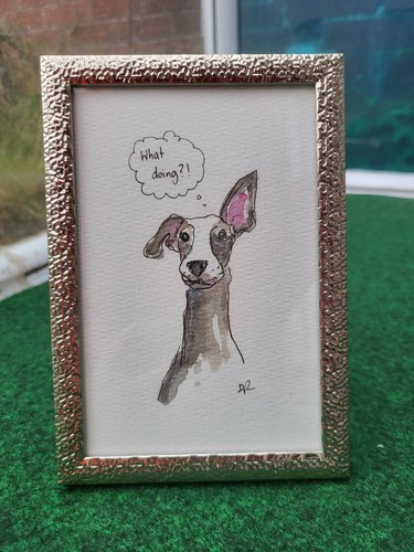 Greyhound whippet original