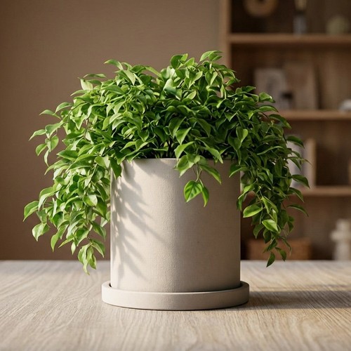 Cylindrical concrete planter - cylindrical,