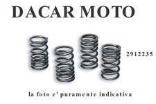 MALOSSI RIEJU RS2 50 2T LC