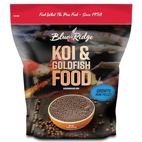 Blue ridge koi - ridge, fish
