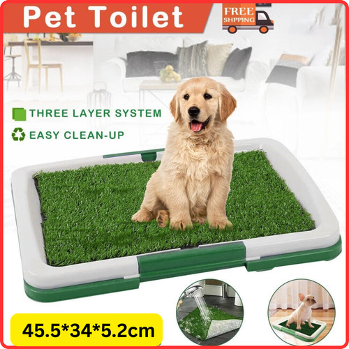 Pet dog toilet mat indoor - pet,