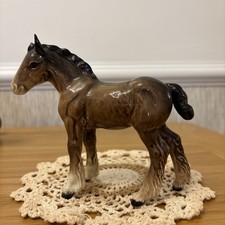 Old Beswick Shire Foal