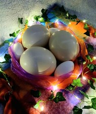 Autumn Home Decor or Craft idea Imperfect Blown Ostrich Egg Halloween crafting