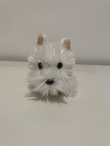 West highland terrier - west, soft