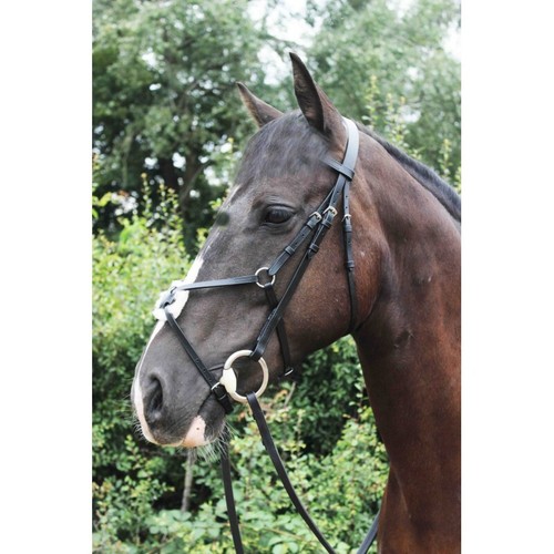 Mexican grackle bridle - bridle,, brown