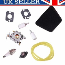 Chainsaw Carburetor Fuel