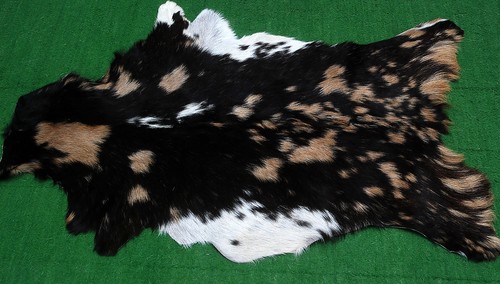 New goat hide rug hair - hide, area