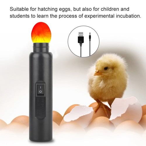 Led light egg - light, tester