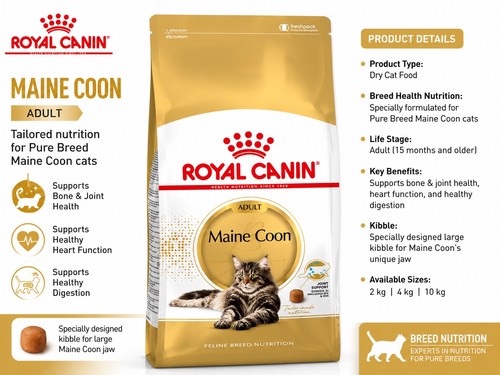 Royal canin maine coon - maine,