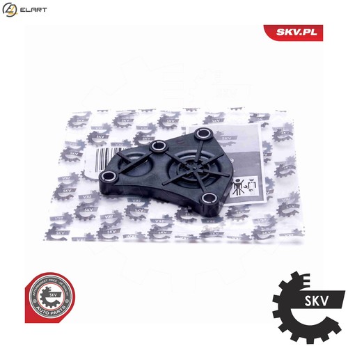 Locking cover camshaft - locking,