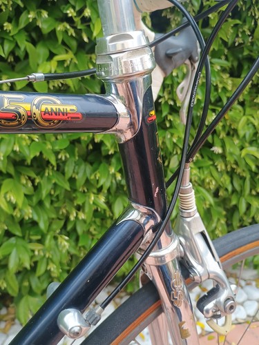 1983 vintage daccordi 50th - 1983,