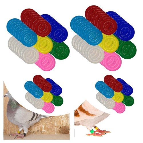 100 pieces bird foot - foot, rings