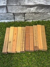 10 Year Air Dried Mixed Pen