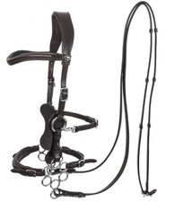 Calli Rose Hackamore Bitless Bridle & Reins