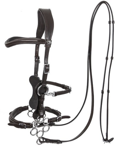 Calli rose hackamore bitless - calli,