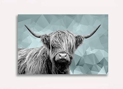 Highland cow duck - cow,