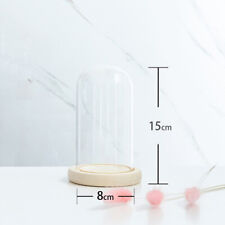 Glass Dome Display Bell Jar Cloche Wood Base Figure Action Storage Display Decor