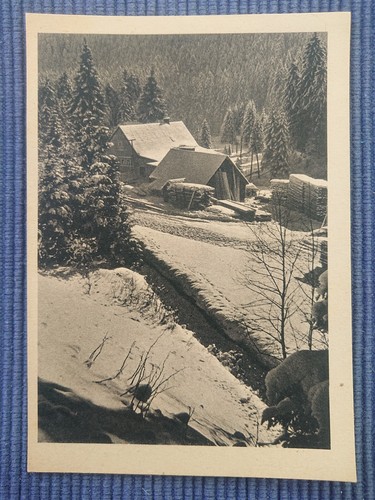 Old postcard hut sawmill trees - old,